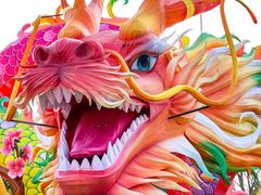 -武汉园博园(武汉自然博物馆)