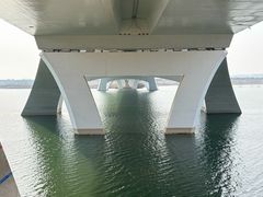-绿堤公园