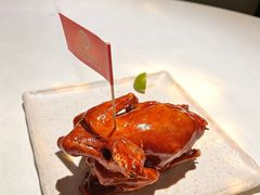 -侨美食家·41年地道粤菜(珠江新城店)