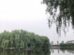 -东华大学(松江校区)