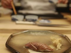 金枪鱼寿司-焘