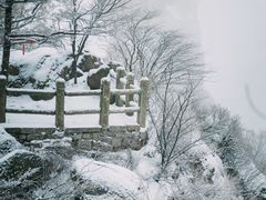 -崂山巨峰游览区