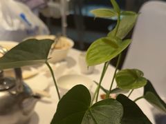 -眉州东坡(通州店)