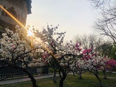 -玲珑塔公园