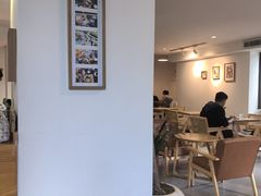 -猫里有甜
