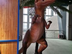 -辽宁古生物博物馆