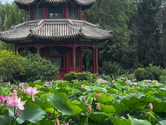 -莲池书院博物馆