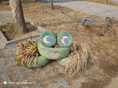 -呀路古热带植物园