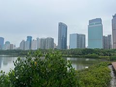 -万绿园