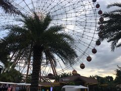 -三亚海昌梦幻海洋不夜城