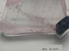 -湖南省地质博物馆