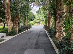 -南宁南湖公园