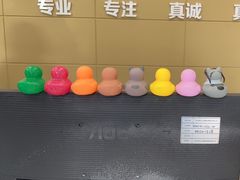 -美联众合爱康动物医院•复杂内科•肿瘤科•牙科•腔镜诊疗中心