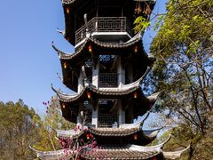 -温州永嘉书院
