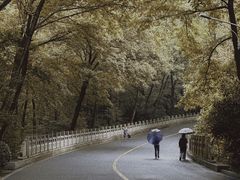 -灵谷景区