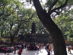 -普陀山风景名胜区-法雨禅寺