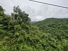 -野象谷景区
