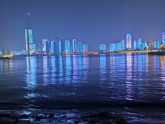 -武汉两江游览·夜游长江(汉口粤汉码头)
