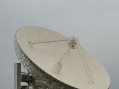 -上海佘山国家森林公园天马山园