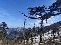 -朱雀国家森林公园