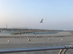 -东港音乐喷泉广场