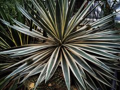 -北京植物园-展览温室