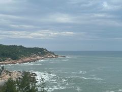 -广东惠东海龟国家级自然保护区