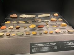 -金沙遗址博物馆