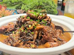 -大连湾旭日·家宴·海肠捞饭(马栏广场店)