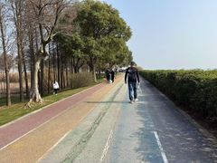 -贡湖湾湿地公园