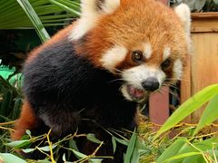 -云南野生动物园