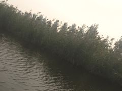 -白洋淀景区
