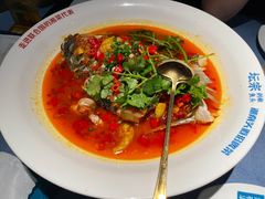 -坛宗剁椒鱼头(河西王府井店)