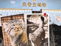 -青藏高原野生动物园