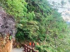 -羚羊峡古栈道森林公园