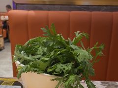 -潮汕大目牛肉火锅(皇岗旗舰店)