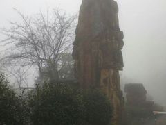 -九龙江国家森林公园