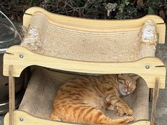 -颓记茶餐厅(美景总店)