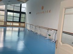 -西安小天鹅艺术团(曲江Alice店)