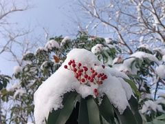 -黑孩油栗皇(南阳路店)