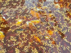 -川渔居—鱼火锅(八方汇店)