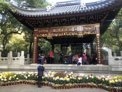 -汇龙潭