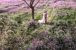 176副本-戛纳印象摄影(潮拍定制馆)