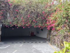 -科尔海悦酒店·柏顿花园餐厅(清河东路店)