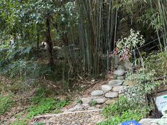 -三江森林温泉度假区