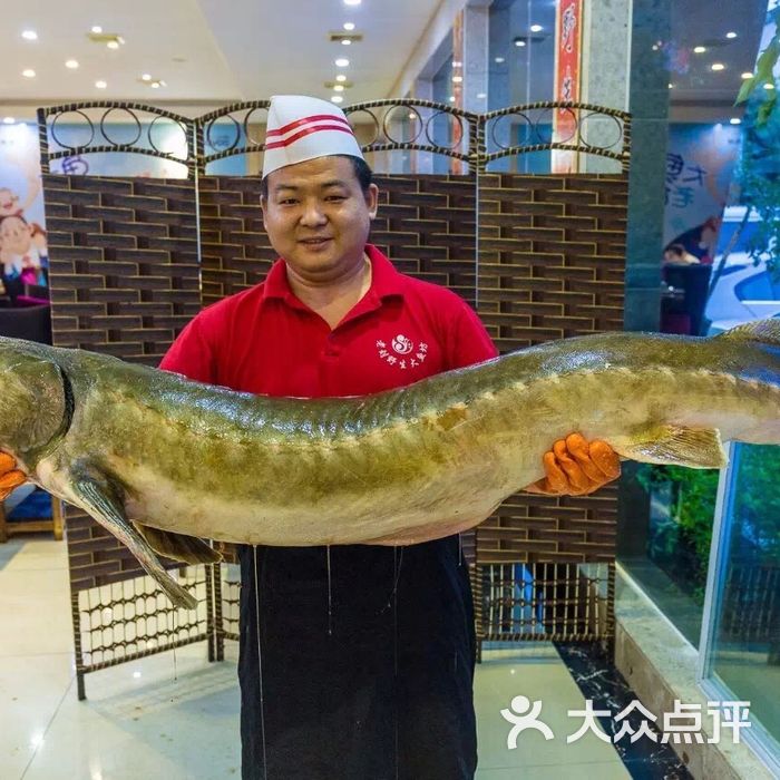 老刘野生大鱼坊