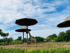 -济南野生动物世界