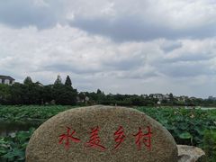 -东山香樟园