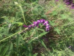 -箱美术馆私房菜(水晶郦城店)
