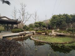 -重庆园博园